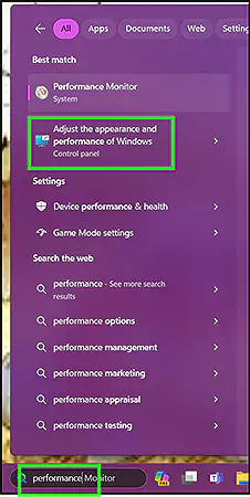 Open ‘Adjust the appearance and performance of Windows’