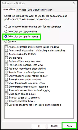 Select ‘Adjust for best performance’