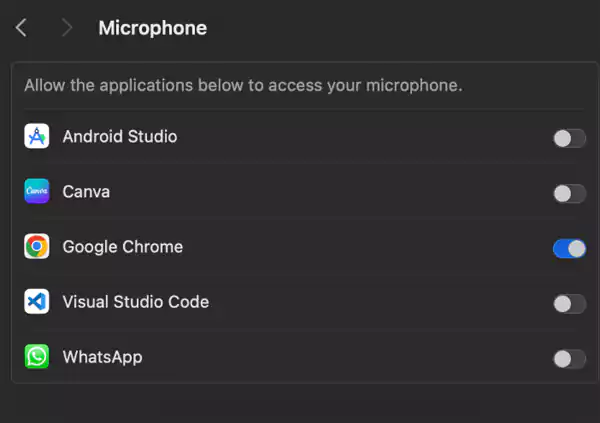 Microphone section on Mac