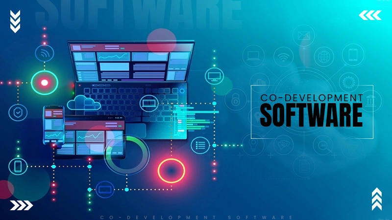 software