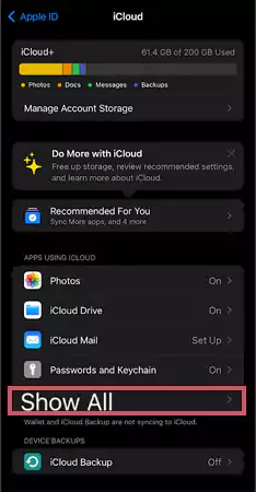 Hit Show All under Apps Using iCloud