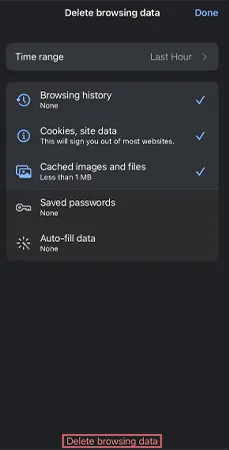 click on Delete browsing data